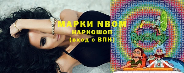 молекула духа Карпинск