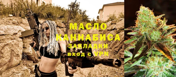 молекула духа Карпинск