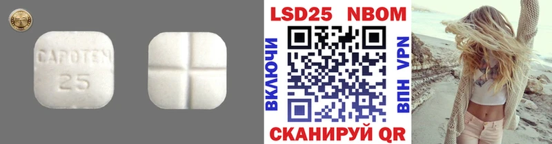Купить  Дмитриев  LSD-25 экстази ecstasy 