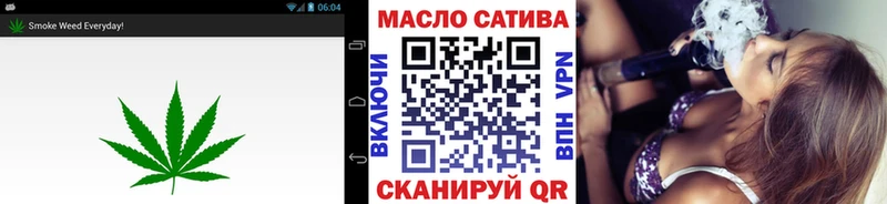 Купить где  Дмитриев  Дистиллят ТГК Wax 