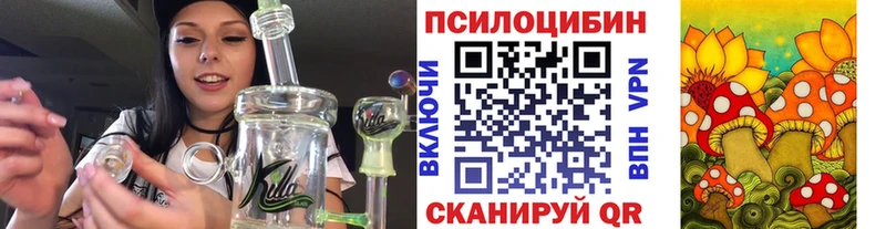 Галлюциногенные грибы MAGIC MUSHROOMS  Купить где  Дмитриев 